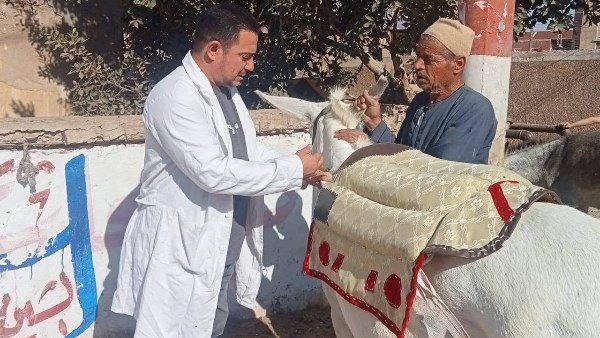 بيطري الغربية 