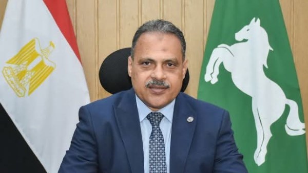 محافظ الشرقية