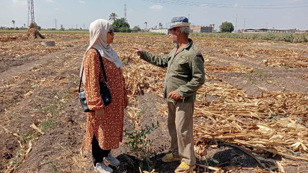 زراعة الشرقية