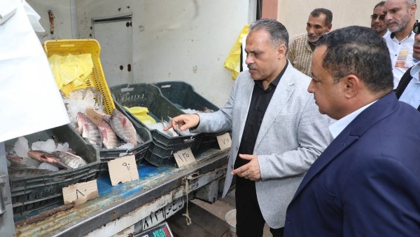 محافظ الشرقية