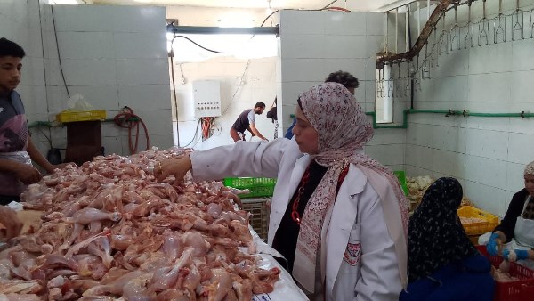 بيطري الشرقية يضبط 15 طن دواجن مجمدة مجهولة المصدر ببلبيس