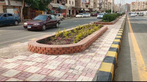 تطوير 