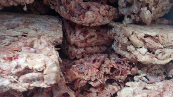 غير صالحة للاستهلاك الآدمي غير صالحة للاستهلاك الآدمي