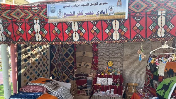 جانب من المعروضات جانب من المعروضات