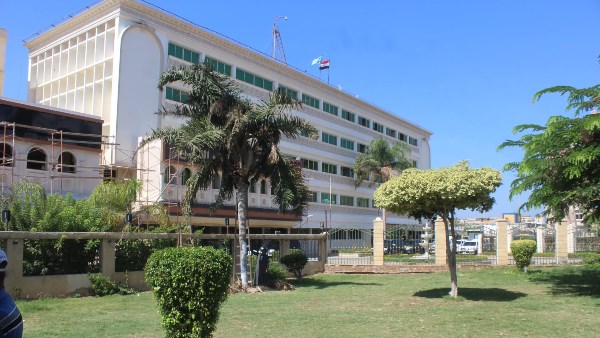 تجميل الحدائق في كفر الشيخ  تجميل الحدائق في كفر الشيخ