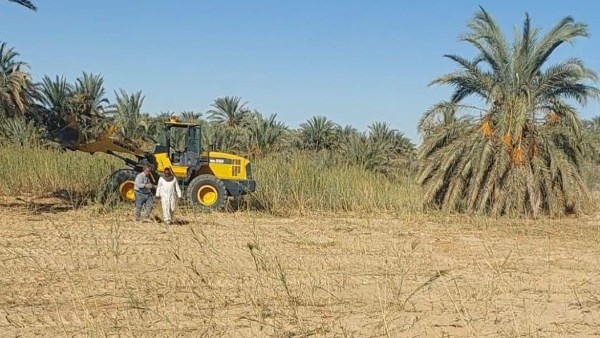 واحة سيوة