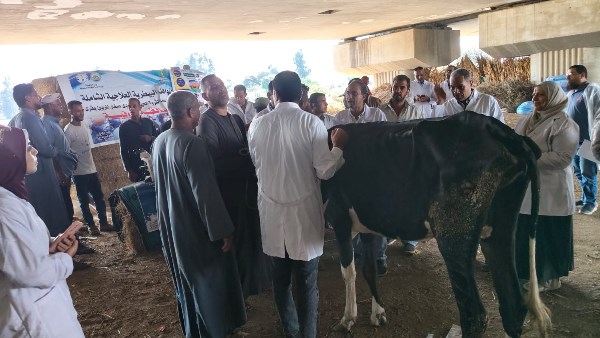 خدمات بيطرية 