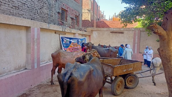 القوافل البيطرية  القوافل البيطرية