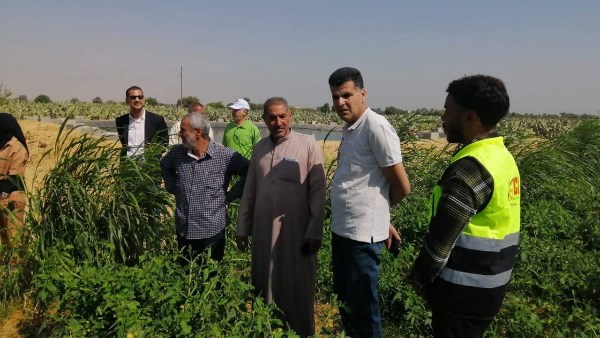 الزراعة الزراعة