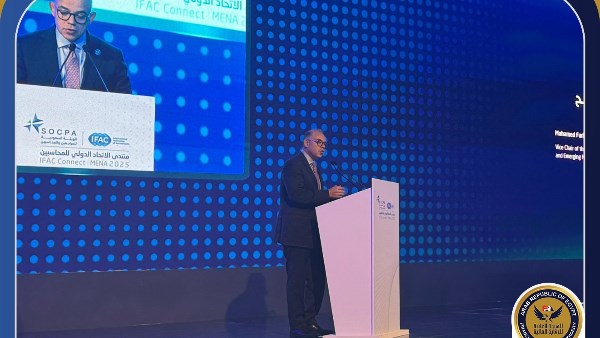 الرقابة المالية
