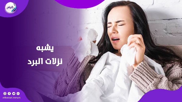 فيروس ميتانيمو