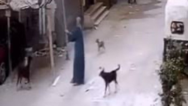 الواقعة