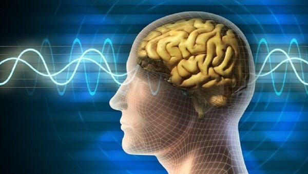 أطعمة تسبب تلف الدماغ وتضعف الذاكرة