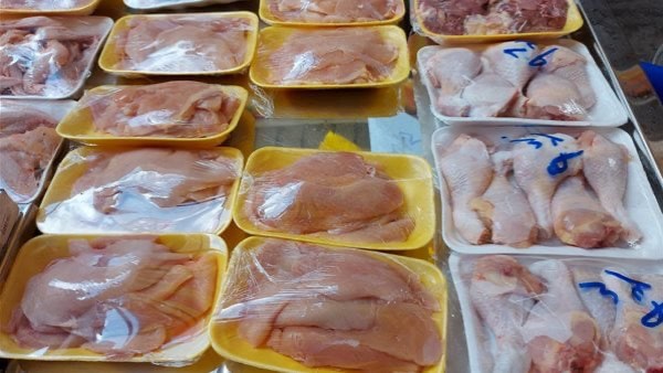 سعر البانيه اليوم 