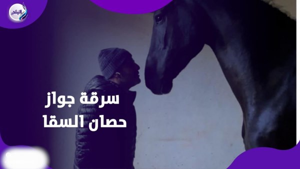 سرقة جواز سفر السقا
