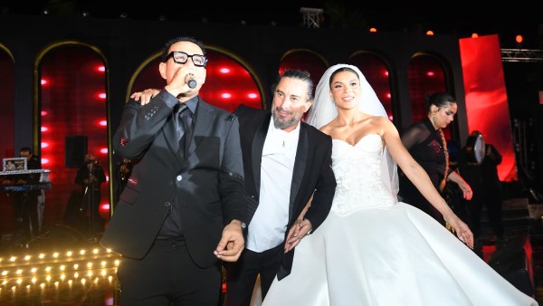 زفاف هادى الباجورى زفاف هادى الباجورى