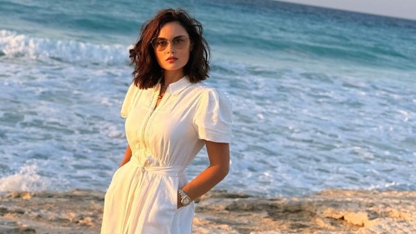 رشا مهدي