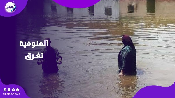 المنوفية تغرق