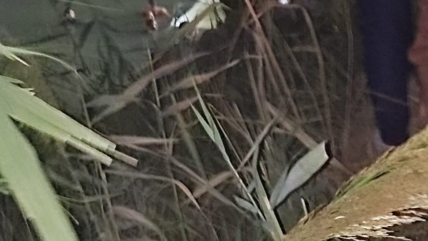صورة من الحادث