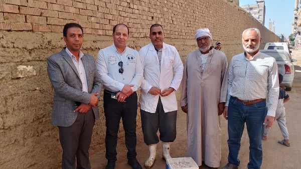 حمله لتحصين مواشى حمله لتحصين مواشى