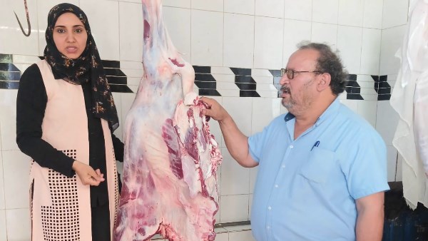 حملة تفتيش حملة تفتيش