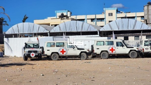 الصليب الاحمر 