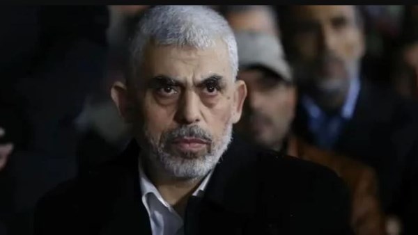 السنوار السنوار