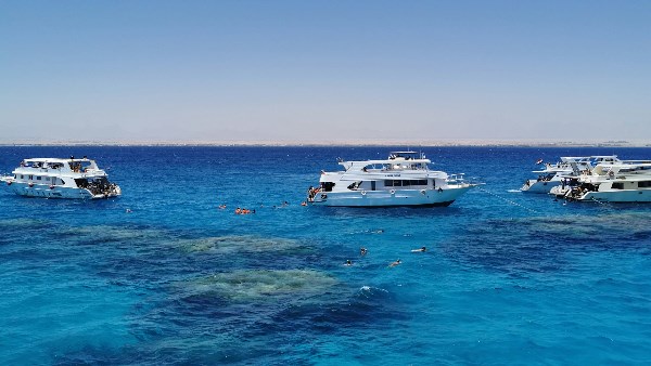 صورة موضوعية