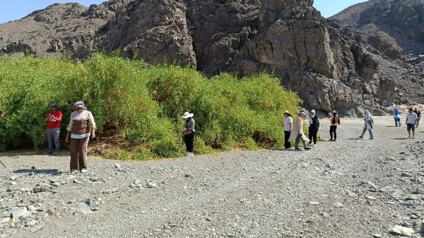 صورة موضوعية صورة موضوعية