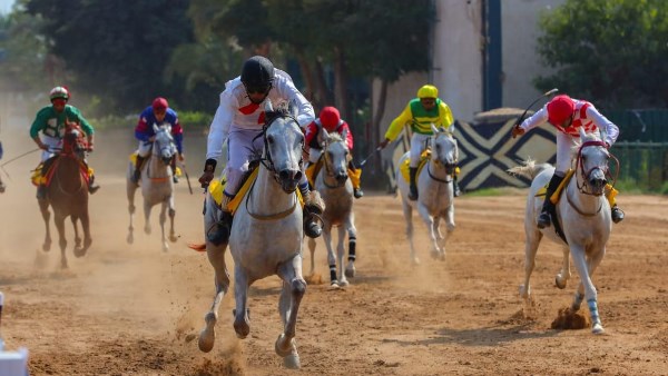 القاهرة تستضيف إحدى محطات كأس رئيس دولة الإمارات للخيول العربية الأصيلة