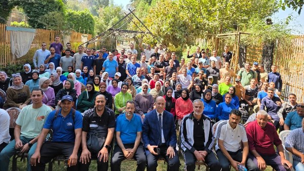 الطائرة الطائرة