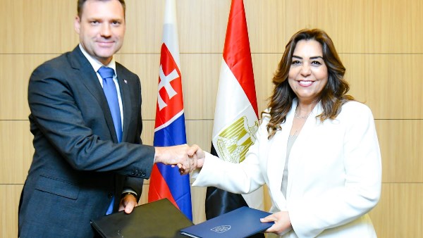 حماية البيئة والتغيرات المناخية 