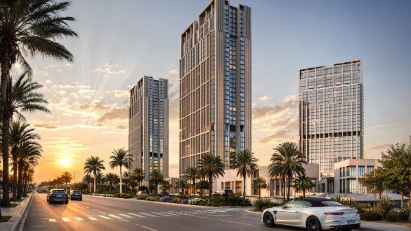 الشيخ زايد  الشيخ زايد