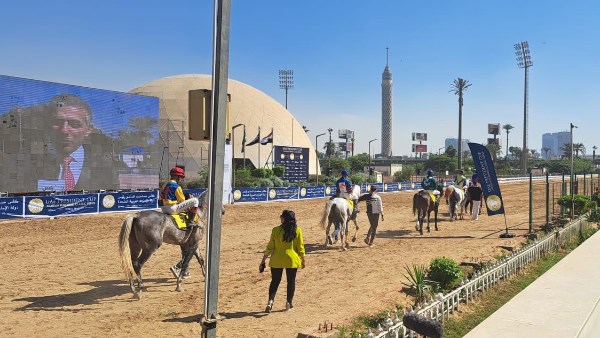 سباقات كأس رئيس دولة الإمارات للخيل  سباقات كأس رئيس دولة الإمارات للخيل