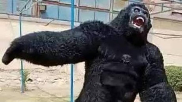 ارشيفية ارشيفية