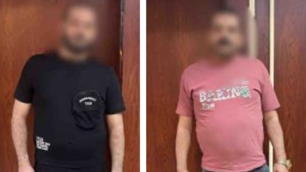 القبض على شقيقين تعديا على بعضهما بالدقهلية