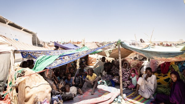 أرشيفية أرشيفية