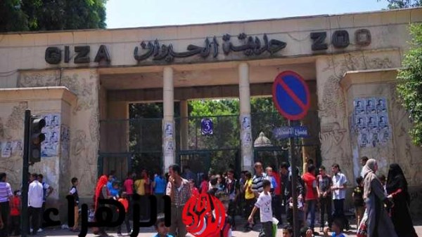 بعد التطوير التاريخي.. موعد افتتاح حديقة حيوان الجيزة