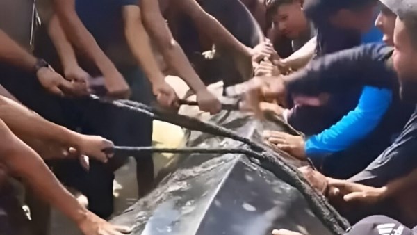 شهدت شواطئ مدينة خان يونس جنوب قطاع غزة، الجمعة الماضية، حدثًا بحريًا نادرًا أثار دهشة