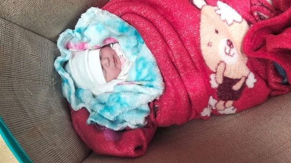 محافظ البحيرة