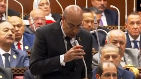 النائب السيد سيد أحمد القفاص