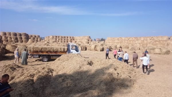 محافظ البحيرة