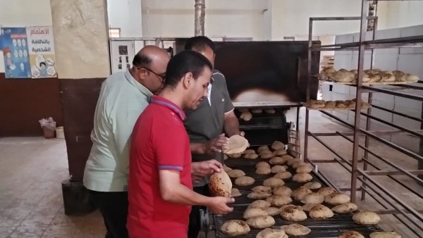 تموين الإسكندرية : ضبط مخبز بلدي لتصرفه في طن و650 كيلو جراما من الدقيق البلدى المدعم