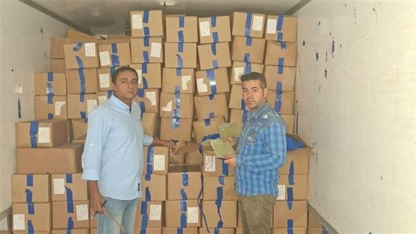 تموين الإسكندرية: ضبط 6 أطنان خضروات مجمدة منتهية الصلاحية