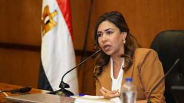 المدير التنفيذي للهيئة العامة للتأمين الصحي الشامل مي فريد 