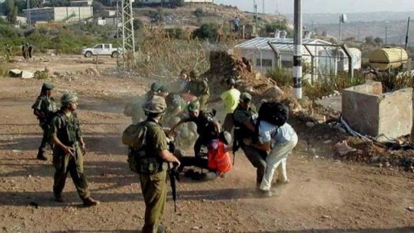 عشرات الإصابات في اقتحام الاحتلال لبلدة بيت كاحل بفلسطين