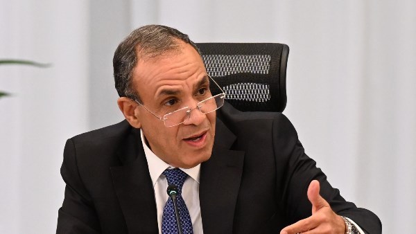 الدكتور بدر عبدالعاطي وزير الخارجية والهجرة 