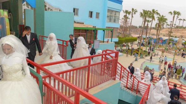 تضامن الشرقية: اتمام زواج 753 يتيمة بدعم من التضامن والأورمان