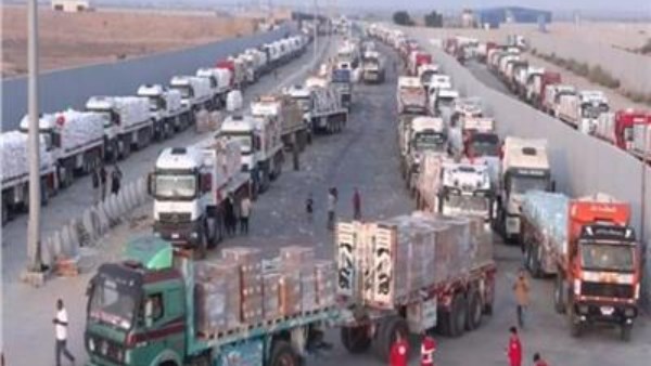 أرشيفية 