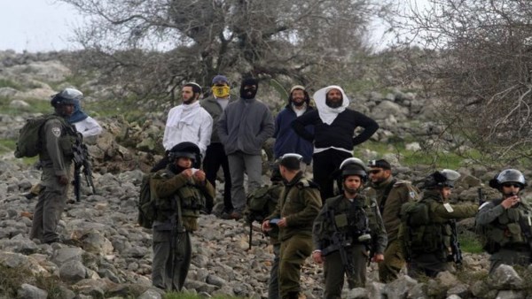 الخارجية الفلسطينية تدين اعتداءات المستوطنين على المواطنين والمتضامنين بموسم قطف الزيتون